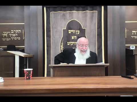 Is an Esrog Without a Pitam Kosher? Rav Asher Weiss Shlit"a Explains in Detail (5784)