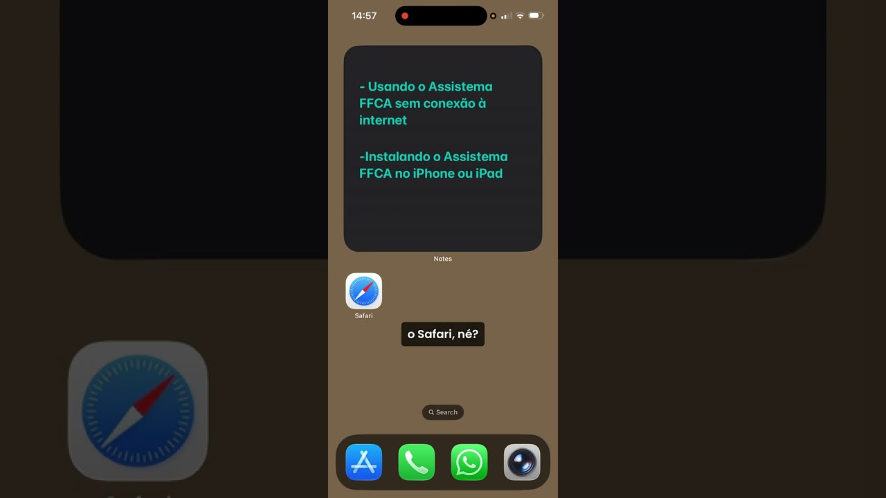 Acesso sem internet (iPhone)