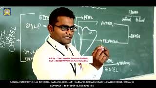 Ganga International School Video