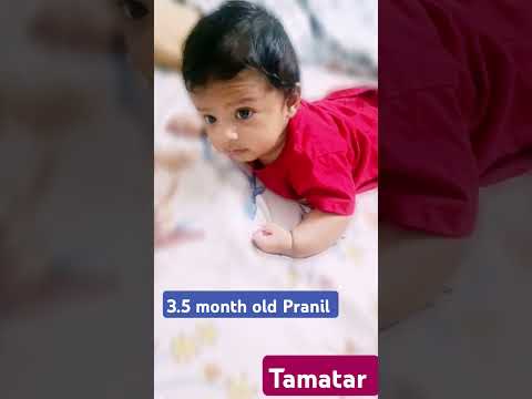 Cute Pranil #kids #kidssong #song #rhymes #anil_ka_pranil #anilfamily #cute #babyboy