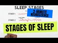 2-Minute Neuroscience: Stages of Sleep - Neuroscientifically Challenged 2-Minute Neuroscience: Stages of Sleep