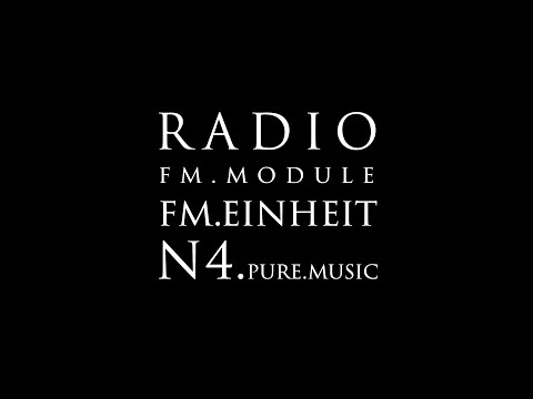 FM Модуль #4. Pure Music | FM Einheit