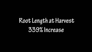 Seeing is Believing, CO2