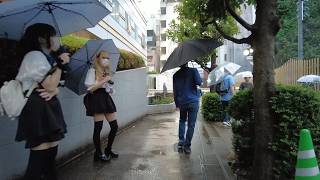 Walking in the Rain Tokyo Shinjuku Kabukicho, JAPAN Travel 雨の大久保公園・新宿歌舞伎町をお散歩！ラブホテル街！トー横界隈！散歩動画・日本東京