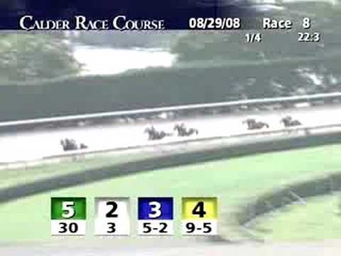 CALDER RACE COURSE, 2008-08-29, Race 8