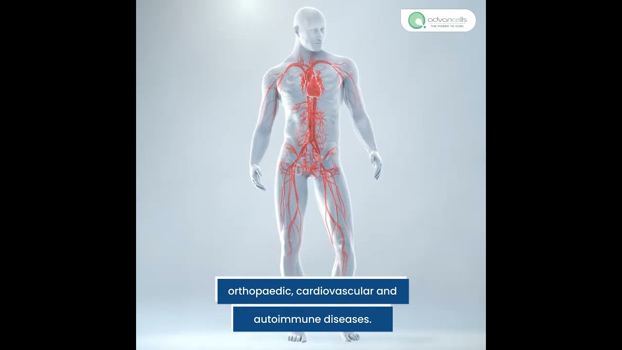 Stem Cell Research and Its Therapeutic Applications