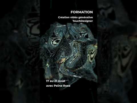 Labo Flashback - Formation TouchDesigner – Créez des expériences visuelles interactives
