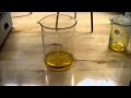 Make Iron (II) and (III) Chloride 
