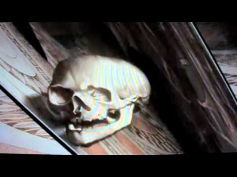 Hans_Holbein the younger_The Ambassadors (amazing skull )