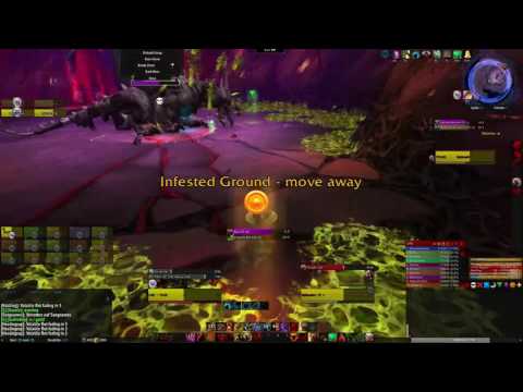The Emerald Nightmare - Nythendra - Heroic