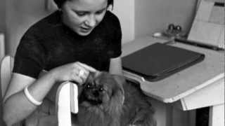 Ric et Pussy - Jacotte Perrier (acc. Django Reinhardt)