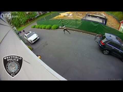 NJ Automated License Plate Grants