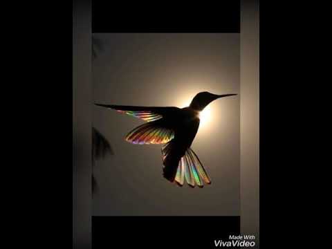 No todos los cuentos Alejandro Filio