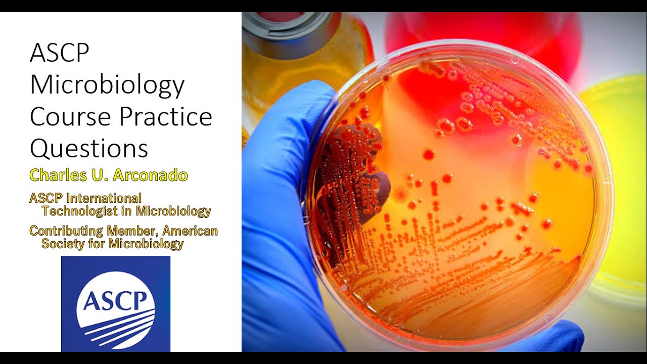 ASCP Microbiology Course PRACTICE QUESTIONS