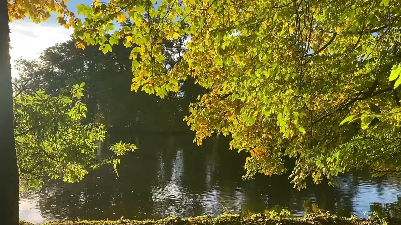 Herbst Meditation zur Harmoniesierung