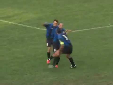 Milan Mića Gajić, Gol