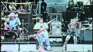 Butthole Surfers (Lollapalooza 1991) [08]. Fast