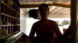 The Hitch Hiker Trailer