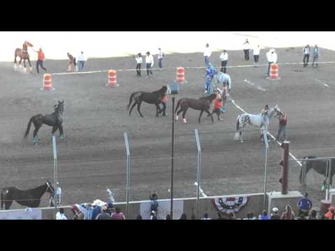 All Nations Indian Horse Relay Championship 2015 Billings Montana