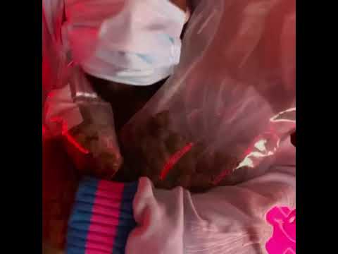 New Work - Viggie Versace