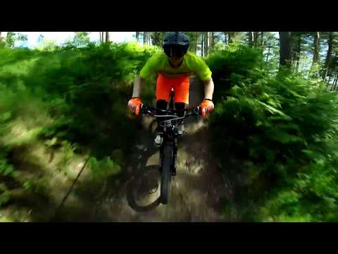 31238 WD-40 Bike Cleaner 500ml