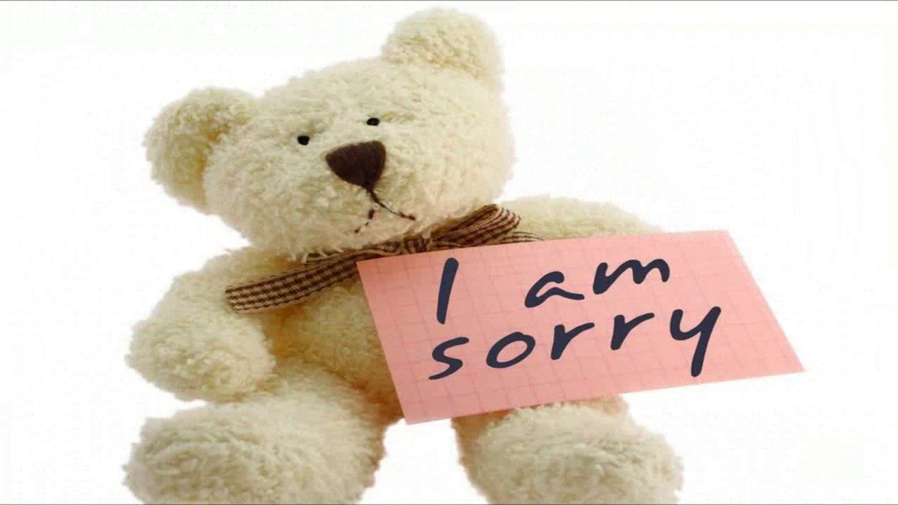I am Sorry Wallpapers Picture