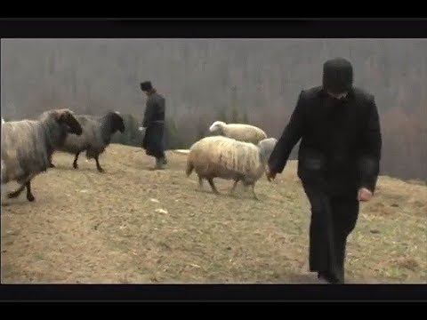 Sihăstria Neamțului