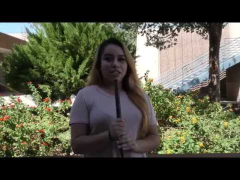 First Show 2017 2016