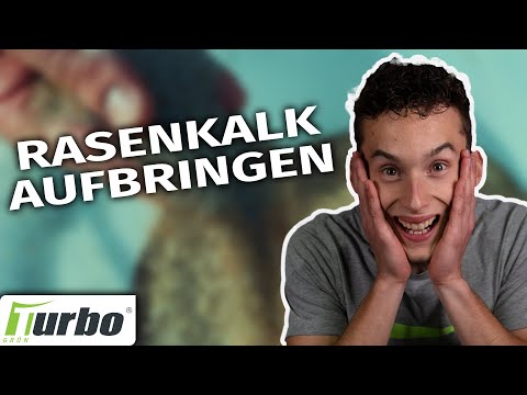 🔥😀 Rasen kalken | Warum braucht der Rasen Kalk? | Turbogrün