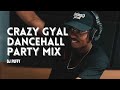 Crazy Gyal Dancehall Party Mix 2 Vybz Kartel Konshens Aidonia