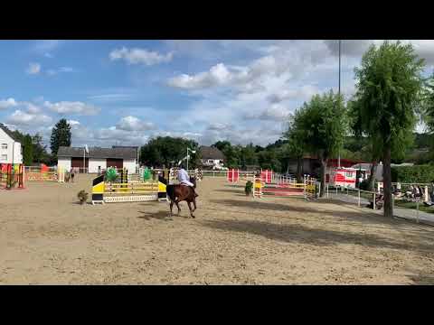 MRS MALOU, *2013 Holsteinerstute v. Magnus Romeo