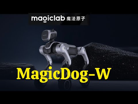 MagicDog-W Review Video 3