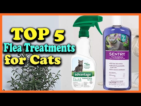 Top 5 Best Flea Treatments for Cats in 2021