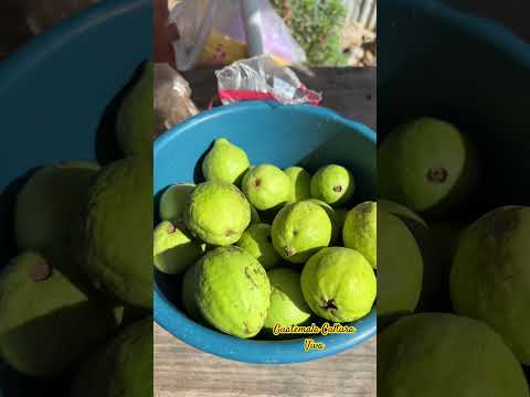 Comprando fruta en Nenton #huehuetenango