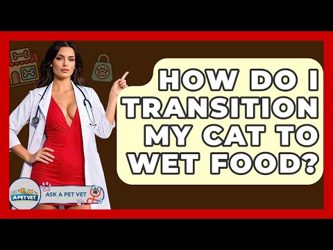 How Do I Transition My Cat To Wet Food? - Ask A Pet Vet