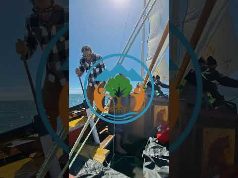 🌊 Nuevo capítulo de Chain-Chaitun