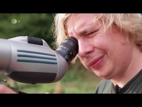 Vogelgezwitscher auf dem Dancefloor