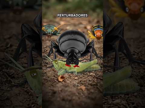 o lado BIZARRO dos BESOUROS #besouros #curiosidades #animais #shorts #animals