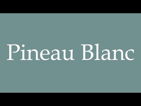 How to Pronounce ''Pineau Blanc'' (White Pineau) Correctly in French