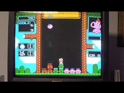 Wario's Woods Wii