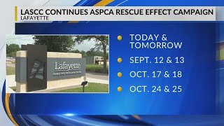 Free Pet Adoption Weekends