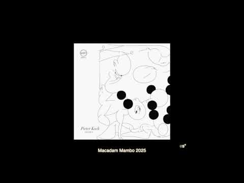 Pieter Kock \Work Under New Circumstances\ MMLPXXX101