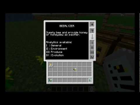 Bee University - Episode 3 - Setting up the classroom