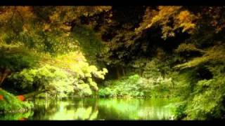 Dying Wish - Under the Dreams