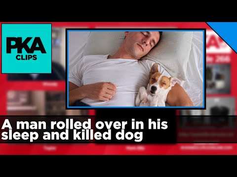 A man rolled over in his sleep and killed dog - PKA Clip