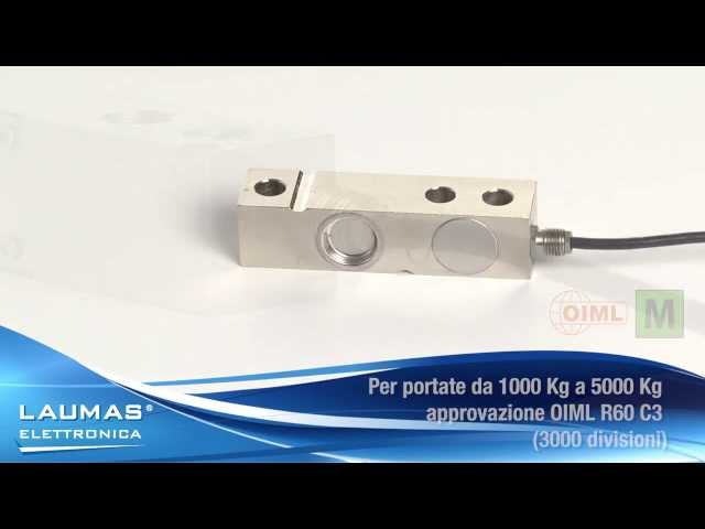 Sensore Cella Di Carico A Colonna DYZ-101 - 2000kg, Per Pesatura Industriale, Tensione/Compressione, Acciaio