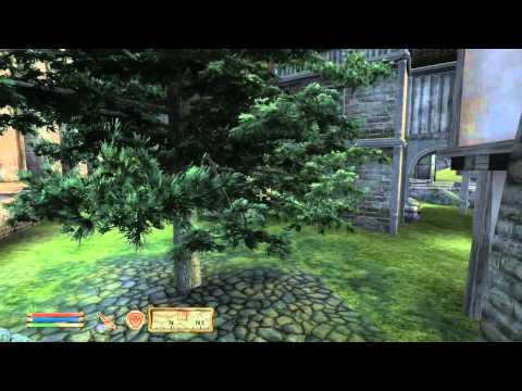The Elder Scrolls IV: Oblivion playthrough pt64 - And Now, I'm a Babysitter