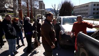 Горски служители раздадоха над 3000 фиданки в Смолян