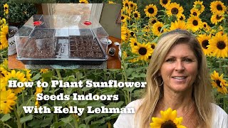 How to Plant Sunflower Seeds Indoors  - With Kelly Lehman
