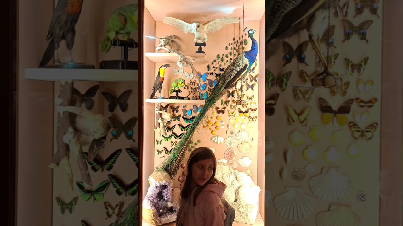 YouTube Short thumbnail